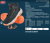 buty BALPINE opis.PNG