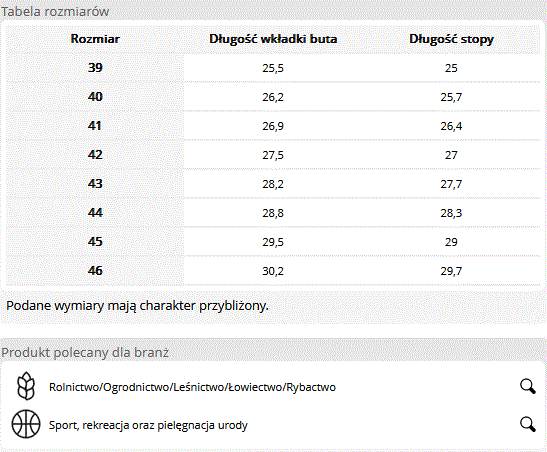 BUTY BGRIM TABELA ROZMIARÓW.GIF
